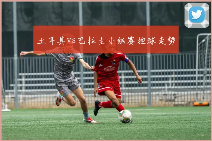 土耳其vs巴拉圭小组赛控球走势