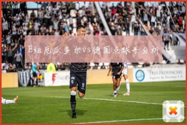 E组厄瓜多尔vs德国点球手分析