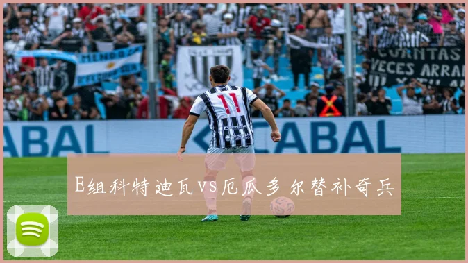 E组科特迪瓦vs厄瓜多尔替补奇兵