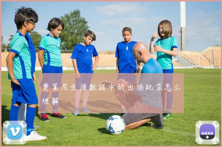 费莱尼生涯数据中的出场纪录怎么理解