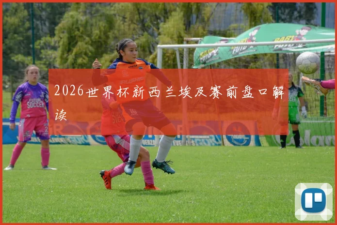 2026世界杯新西兰埃及赛前盘口解读